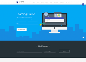 Learning online theme